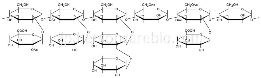 トレメラfuciformis多糖 Tremella Fuciformis Polysaccharide